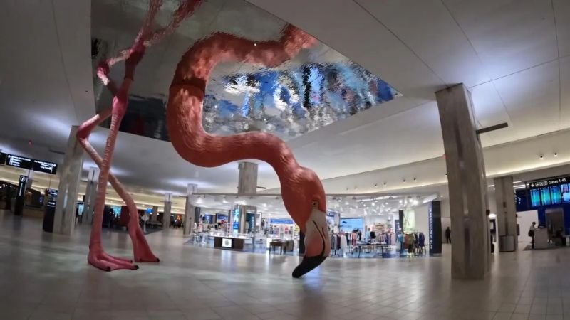 Frontier Airlines TPA Terminal – Tampa International Airport