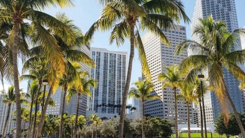Sun Country Airlines Miami Office in Florida