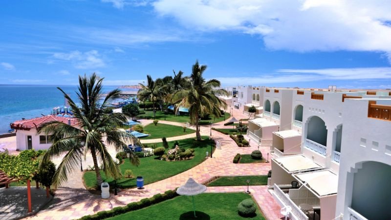 Turkish Airlines Yanbu Office In Saudi Arabia