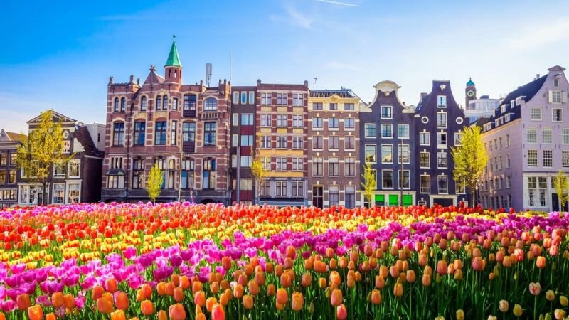 Vietnam Airlines Amsterdam Office in Netherlands