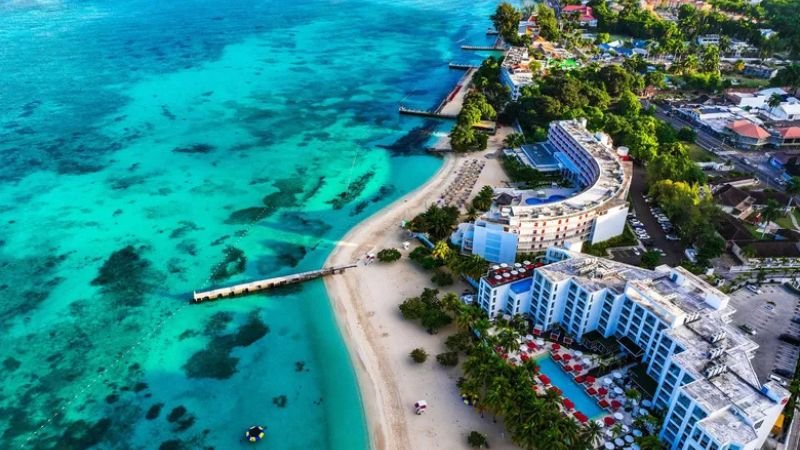 Edelweiss Airlines Jamaica Office