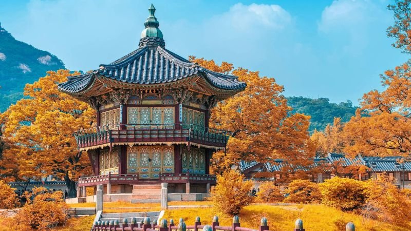 Egyptair Airlines Seoul Office in South Korea