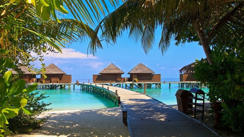 Etihad Airways Maldives office