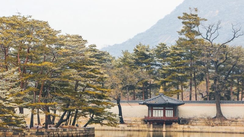 Swiss Air Seoul Office in South Korea