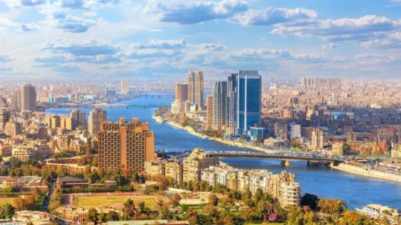 Turkish Airlines Cairo Cargo Office in Egypt