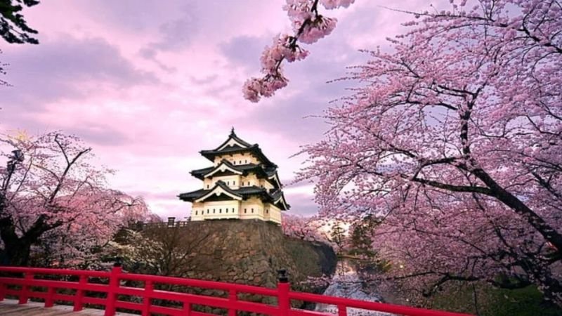 Turkish Airlines Osaka Airport Office in Japan